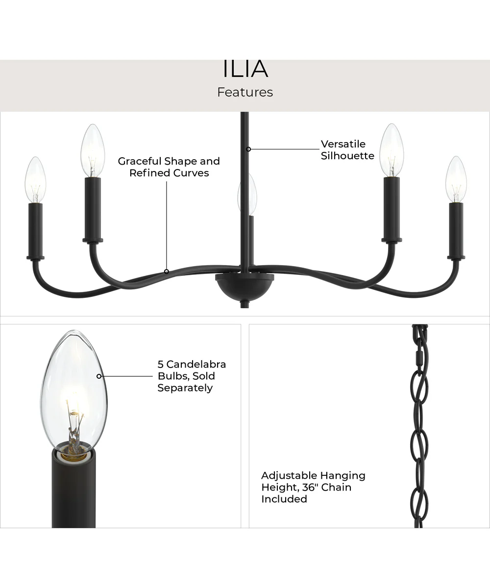 Ilia 5-Light Chandelier Matte Black - Image 7