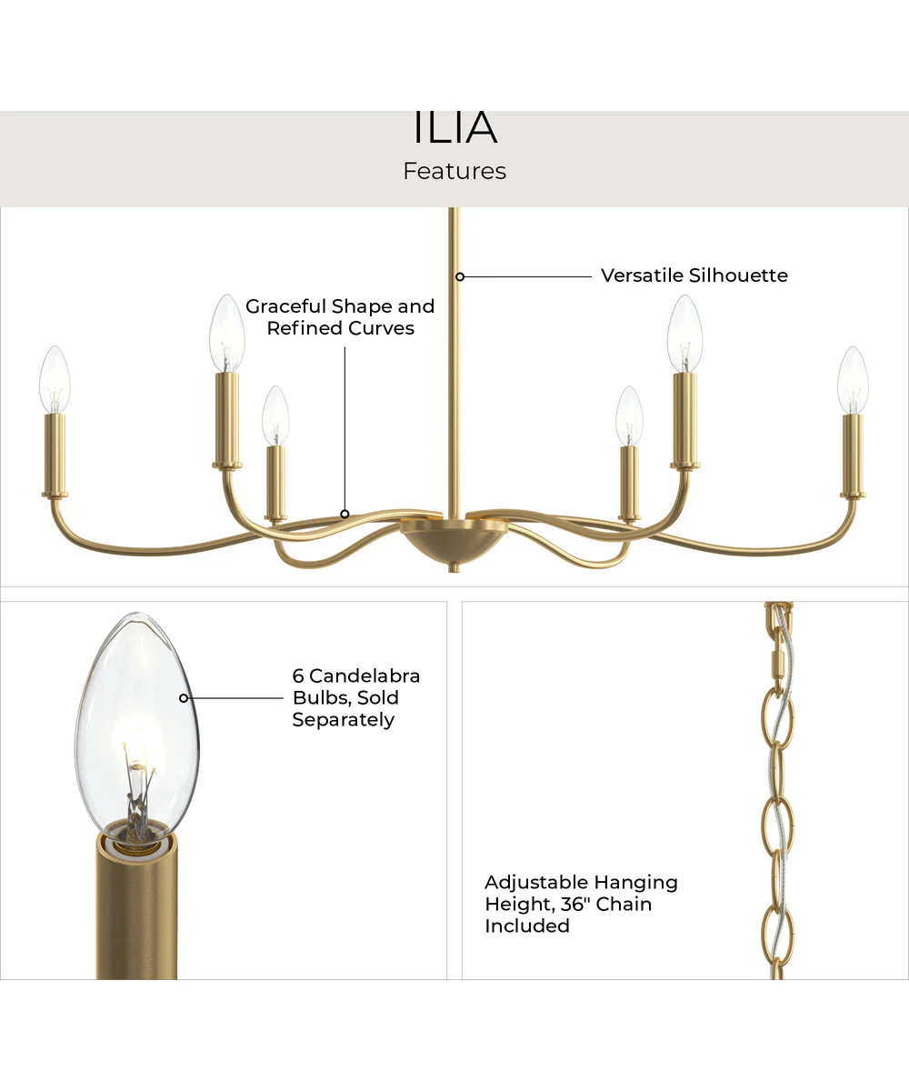 Ilia 6-Light Large Chandelier Brushed Gold - Image 8