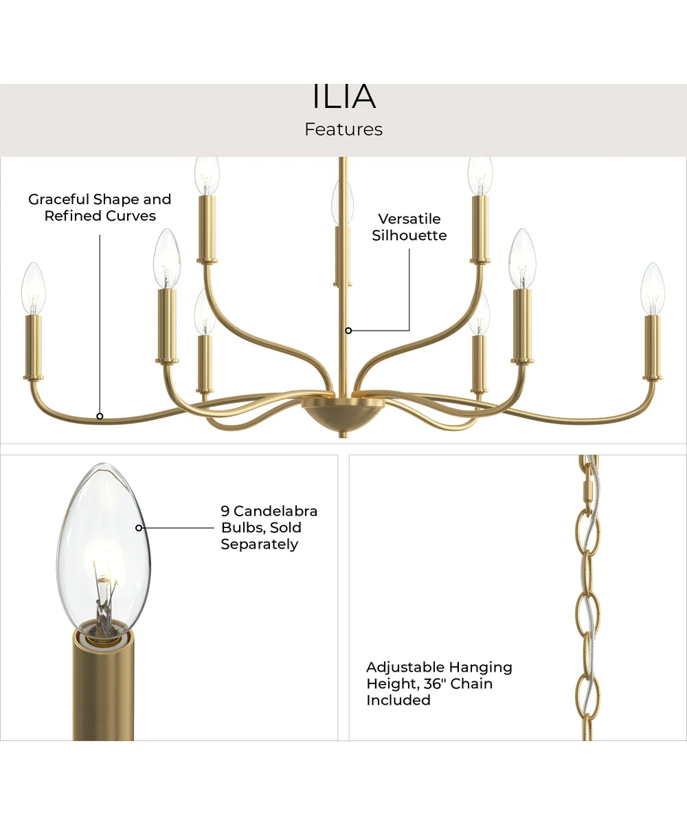 Ilia 9-Light Two-Tier Chandelier Brushed Gold - Image 6