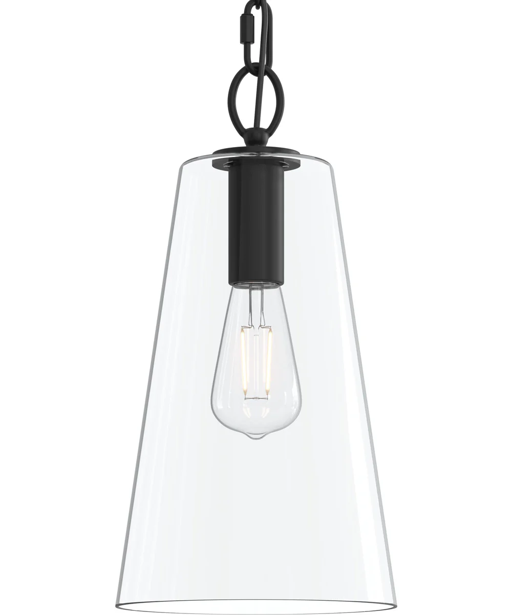 Jheni 1-Light Pendant with Clear Glass Shade Matte Black - Image 7