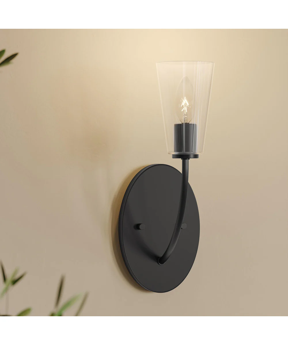 Jheni 1-Light Wall Sconce with Clear Glass Shades Matte Black - Image 11