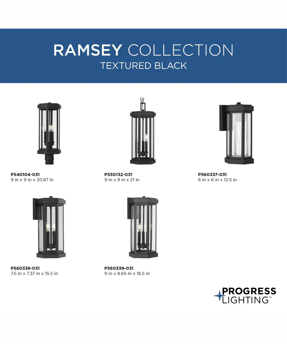 Ramsey Modern Farmhouse Outdoor Medium Wall Lantern Textured Black - Image 5
