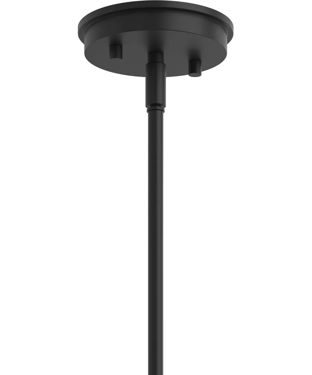 Reines 4-Light Foyer Pendant Matte Black - Image 5