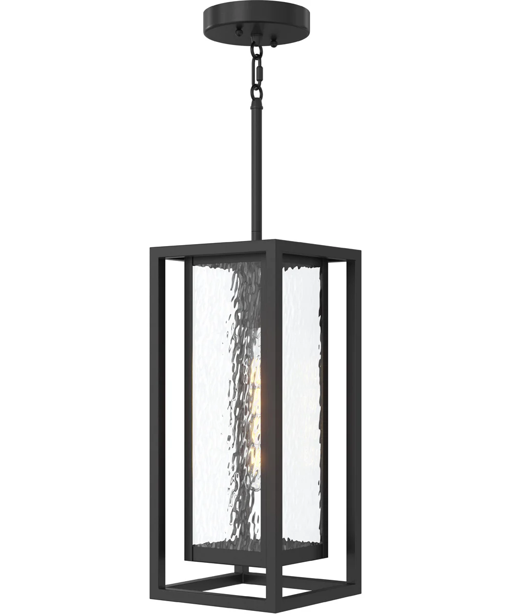 Shaw 17 Inch 1 Light Outdoor Pendant with Clear Glass Textured Black