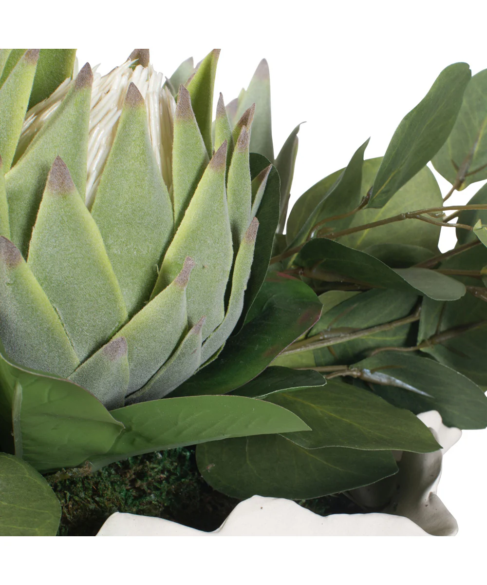 Protea Blooms White Bowl Centerpiece - Image 3