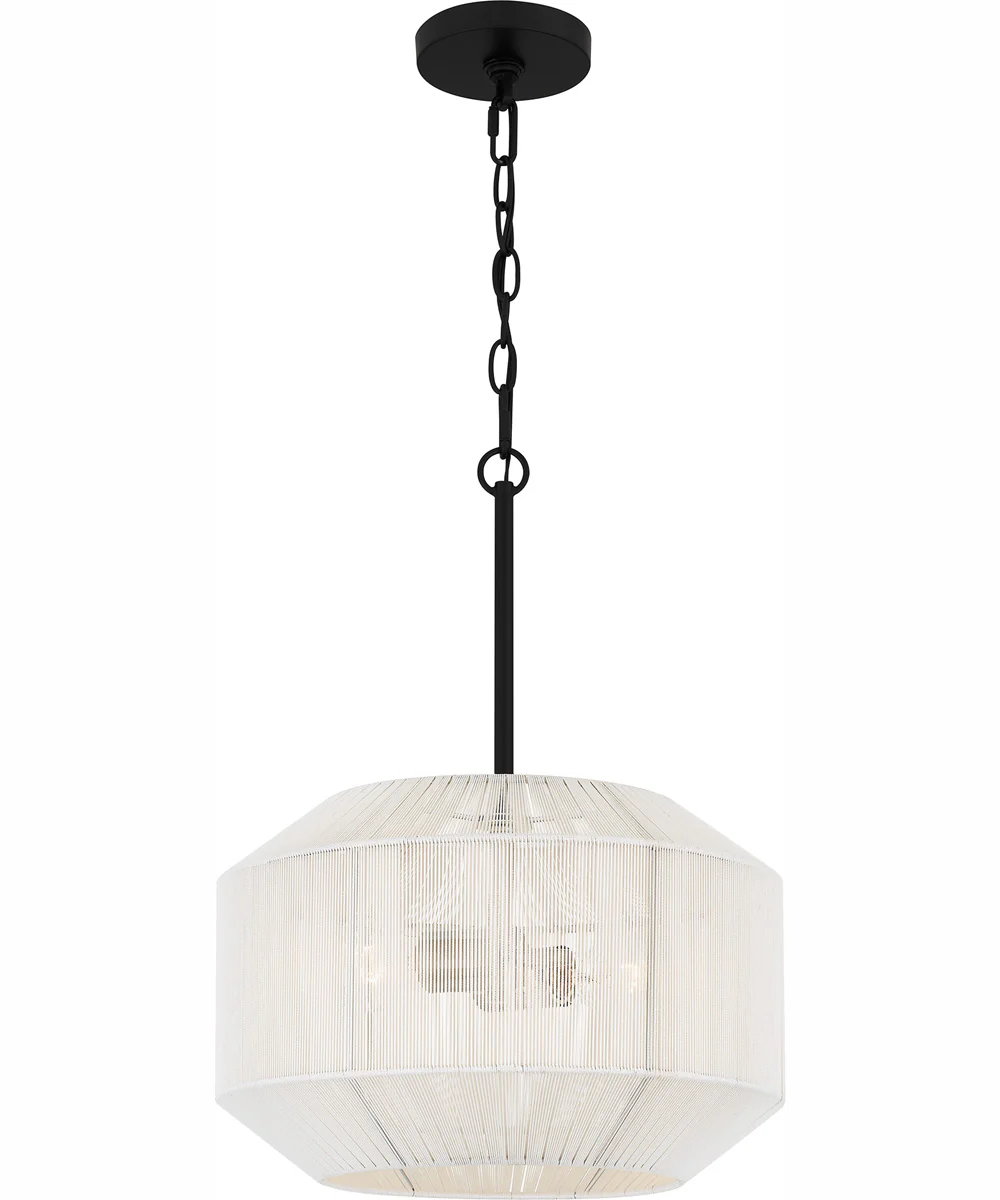 Quoizel Pendant 2-light Pendant Matte Black - Image 2