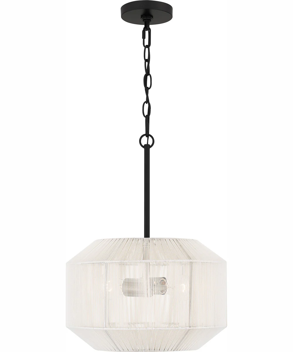 Quoizel Pendant 2-light Pendant Matte Black - Image 4