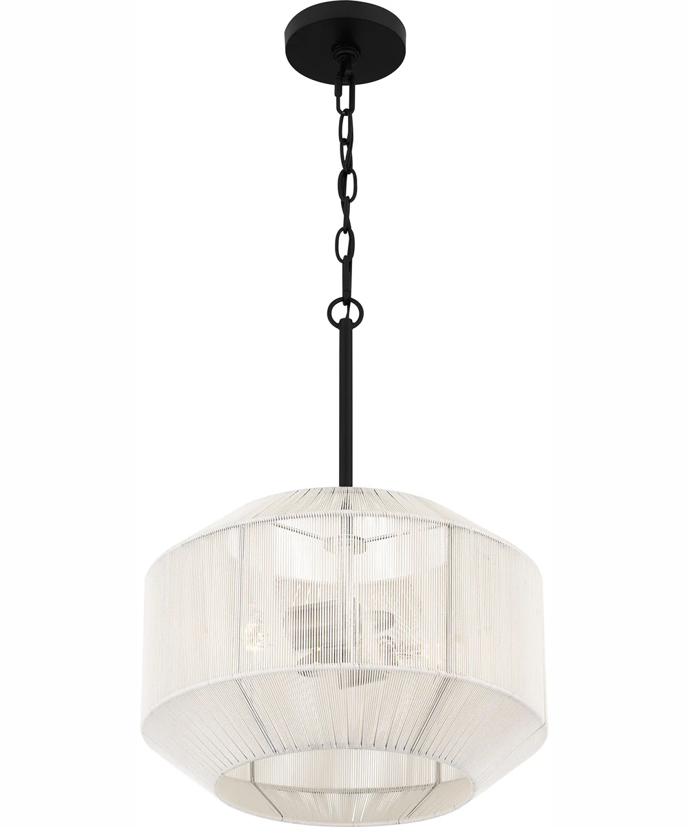 Quoizel Pendant 2-light Pendant Matte Black - Image 5