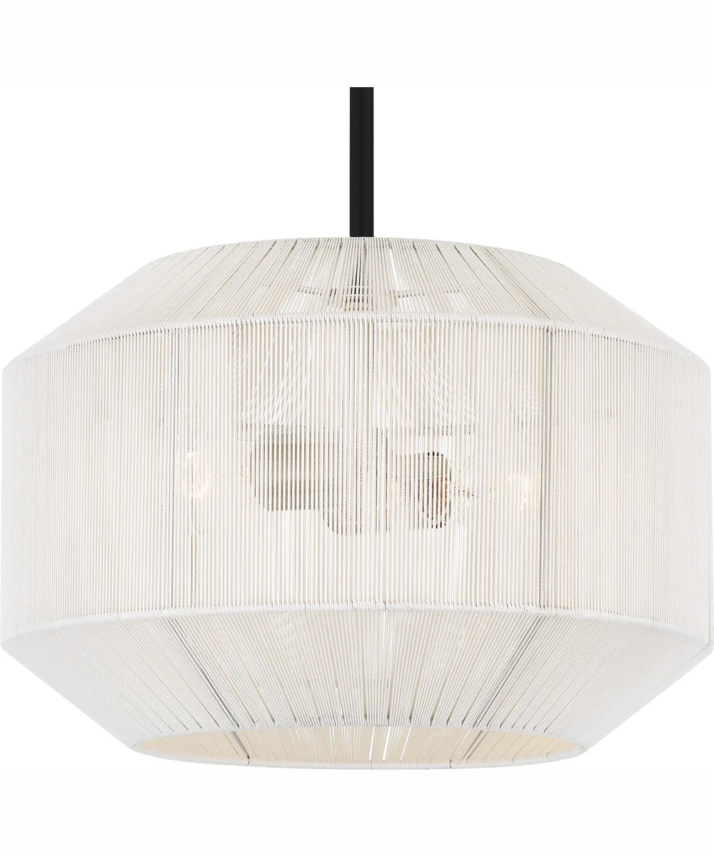 Quoizel Pendant 2-light Pendant Matte Black - Image 6