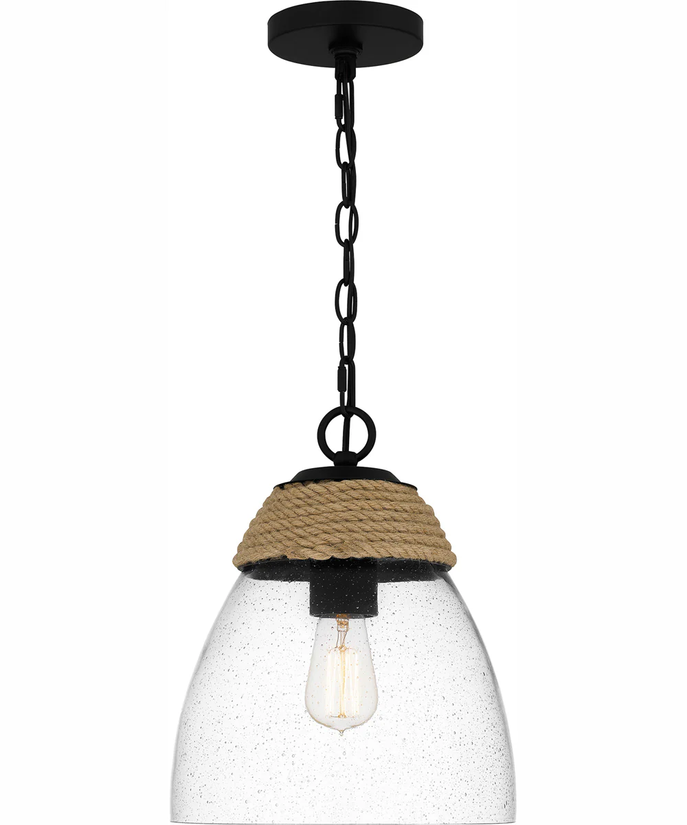 Quoizel Piccolo Pendant 1-light Mini Pendant Matte Black - Image 4