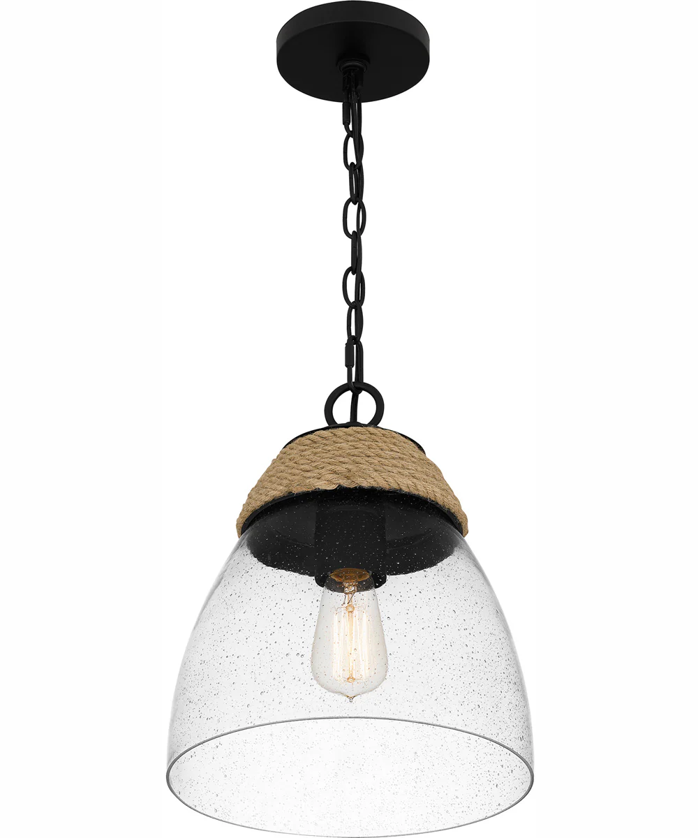 Quoizel Piccolo Pendant 1-light Mini Pendant Matte Black - Image 5