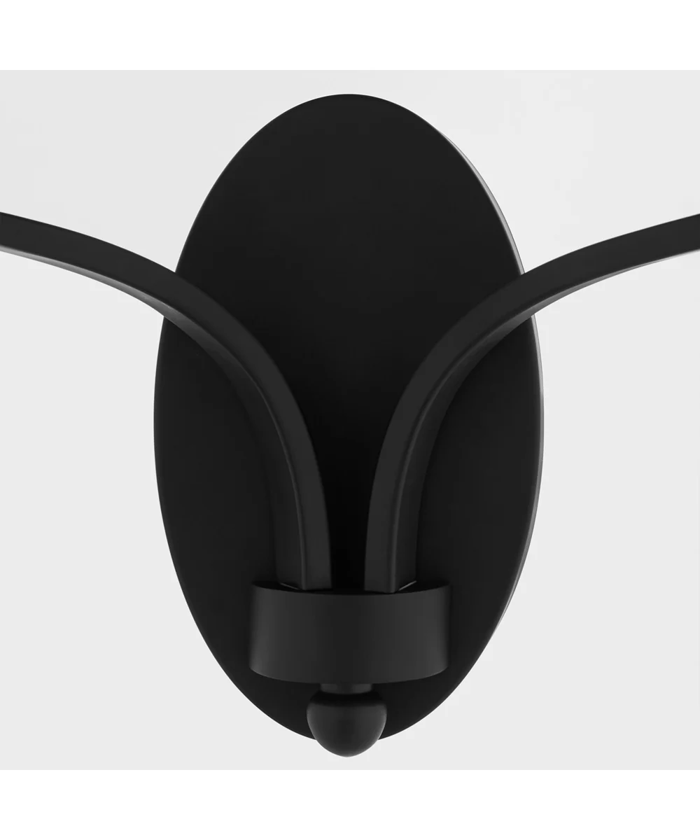 Chantelle 2-light Sconce Matte Black - Image 4