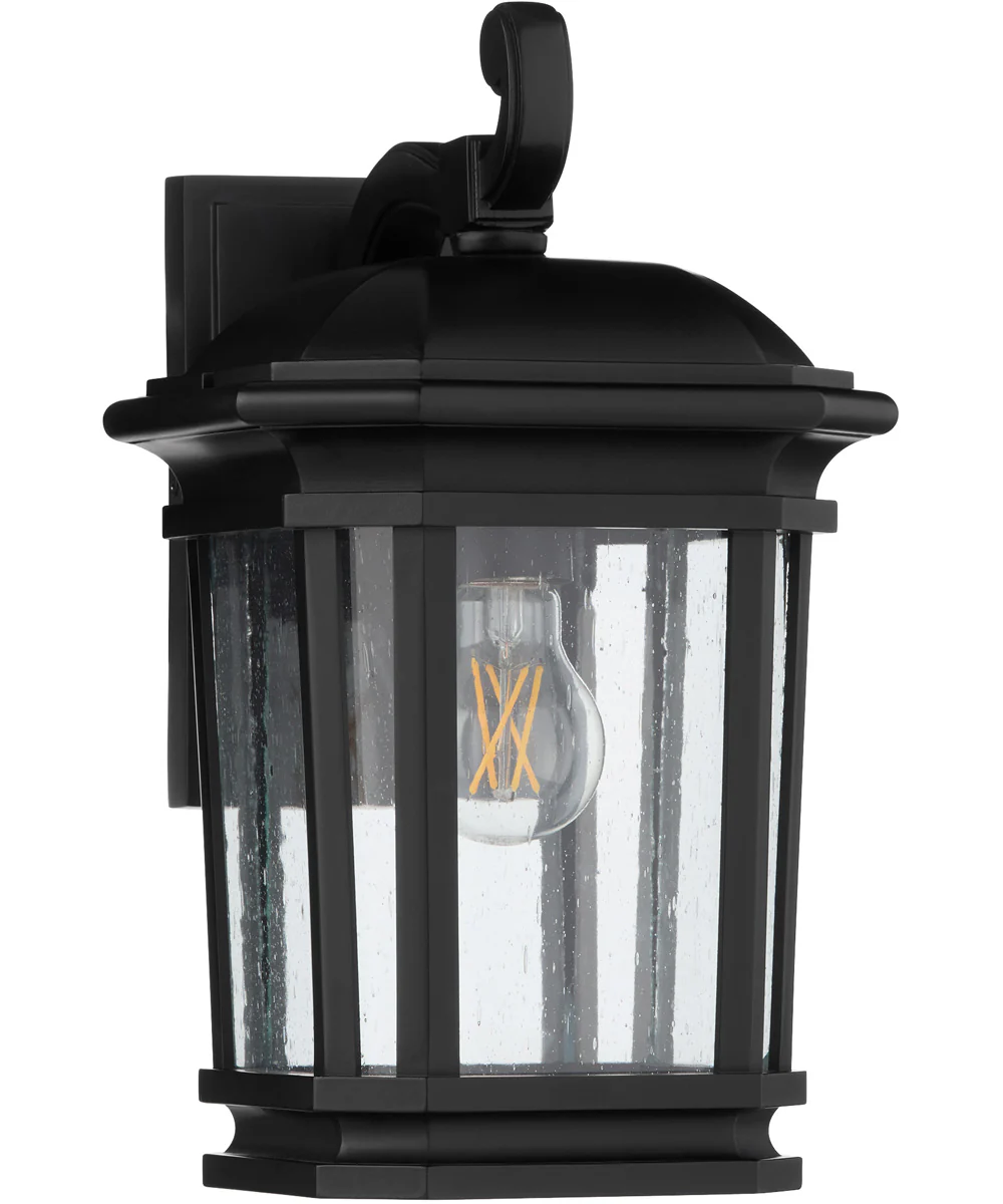 Murphy 1-light Outdoor Wall Lantern Matte Black