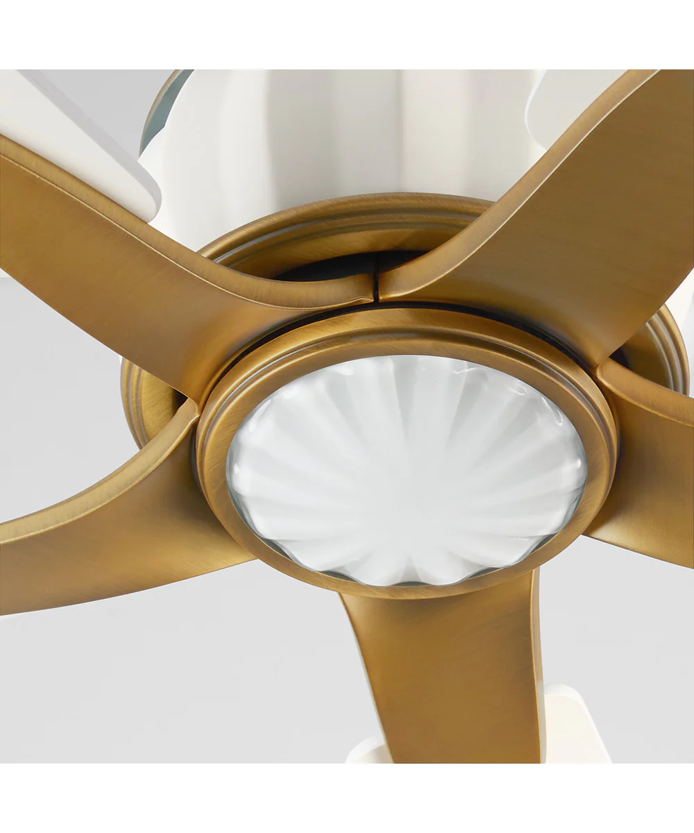 Ophelia Ceiling Fan Studio White|Brushed Brass - Image 3