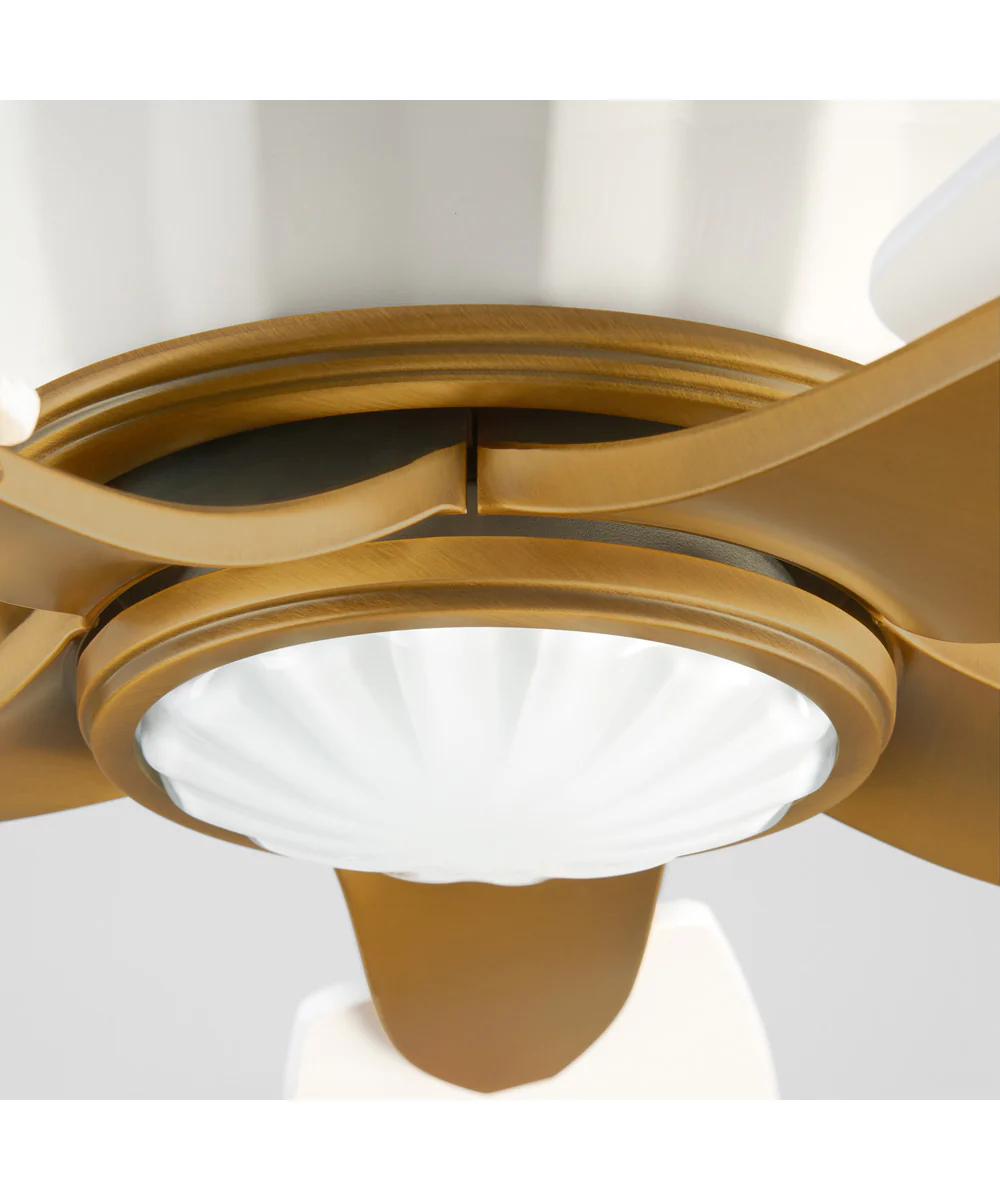 Ophelia Ceiling Fan Studio White|Brushed Brass - Image 4