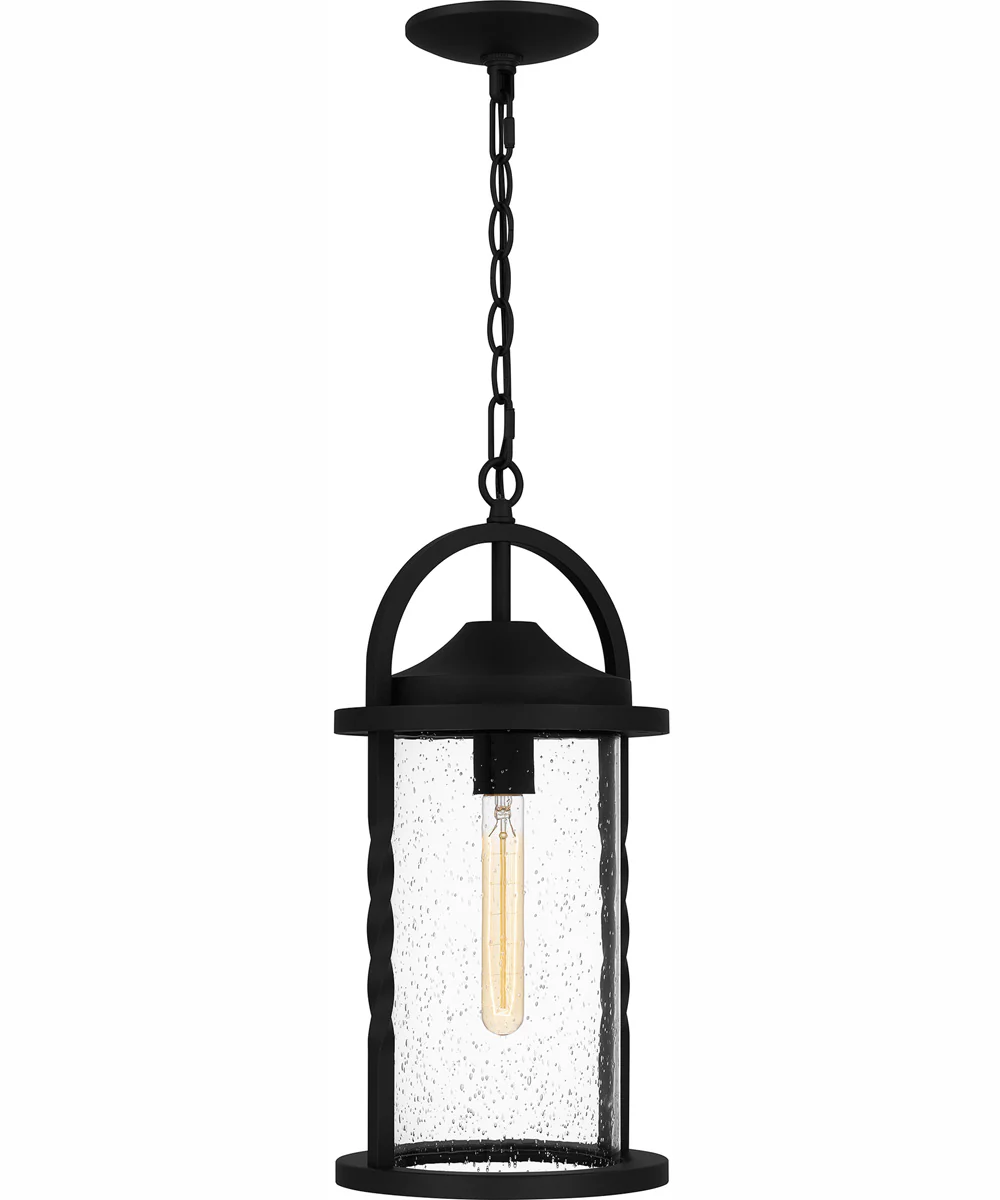 Reece Large 1-light Outdoor Pendant Light Coastal Armour Aluminum Earth Black