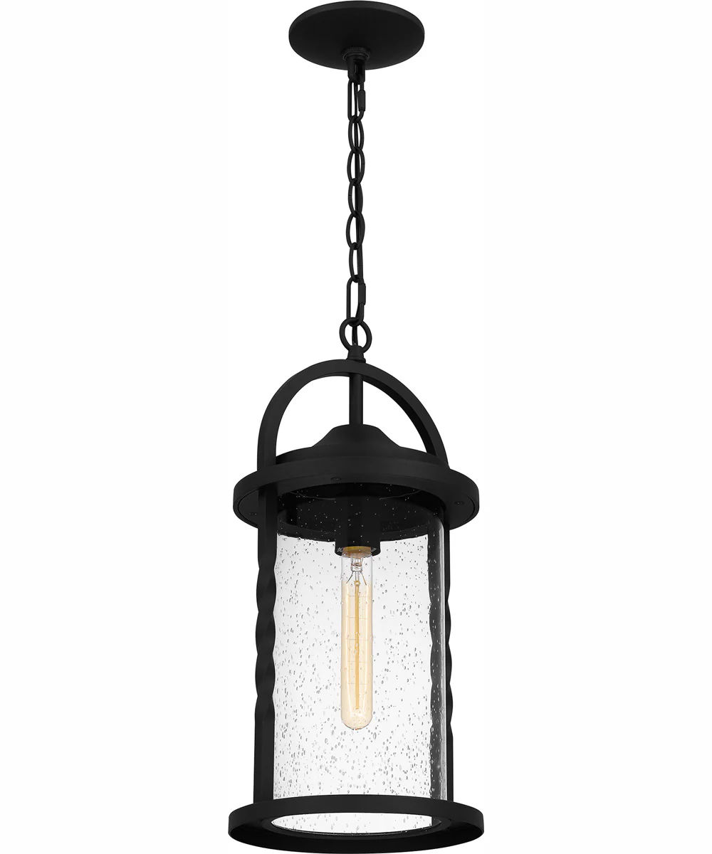 Reece Large 1-light Outdoor Pendant Light Coastal Armour Aluminum Earth Black - Image 5
