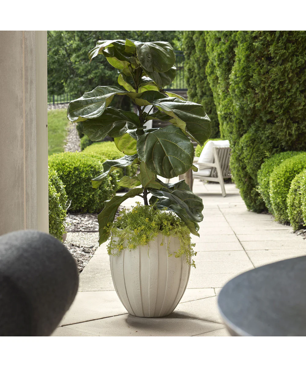 Ridgehaven Textured Outdoor Planter - Image 2