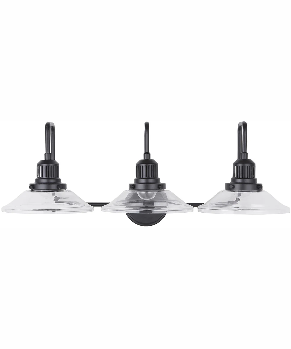 Roan 3-Light Vanity Matte Black