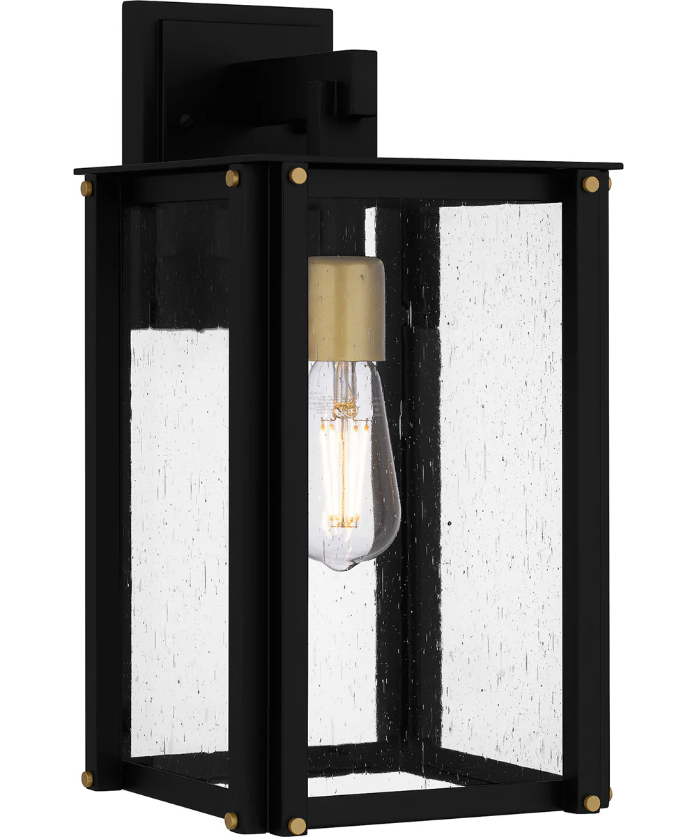 Robbins Medium 1-light Outdoor Wall Light Coastal Armour Aluminum Matte Black