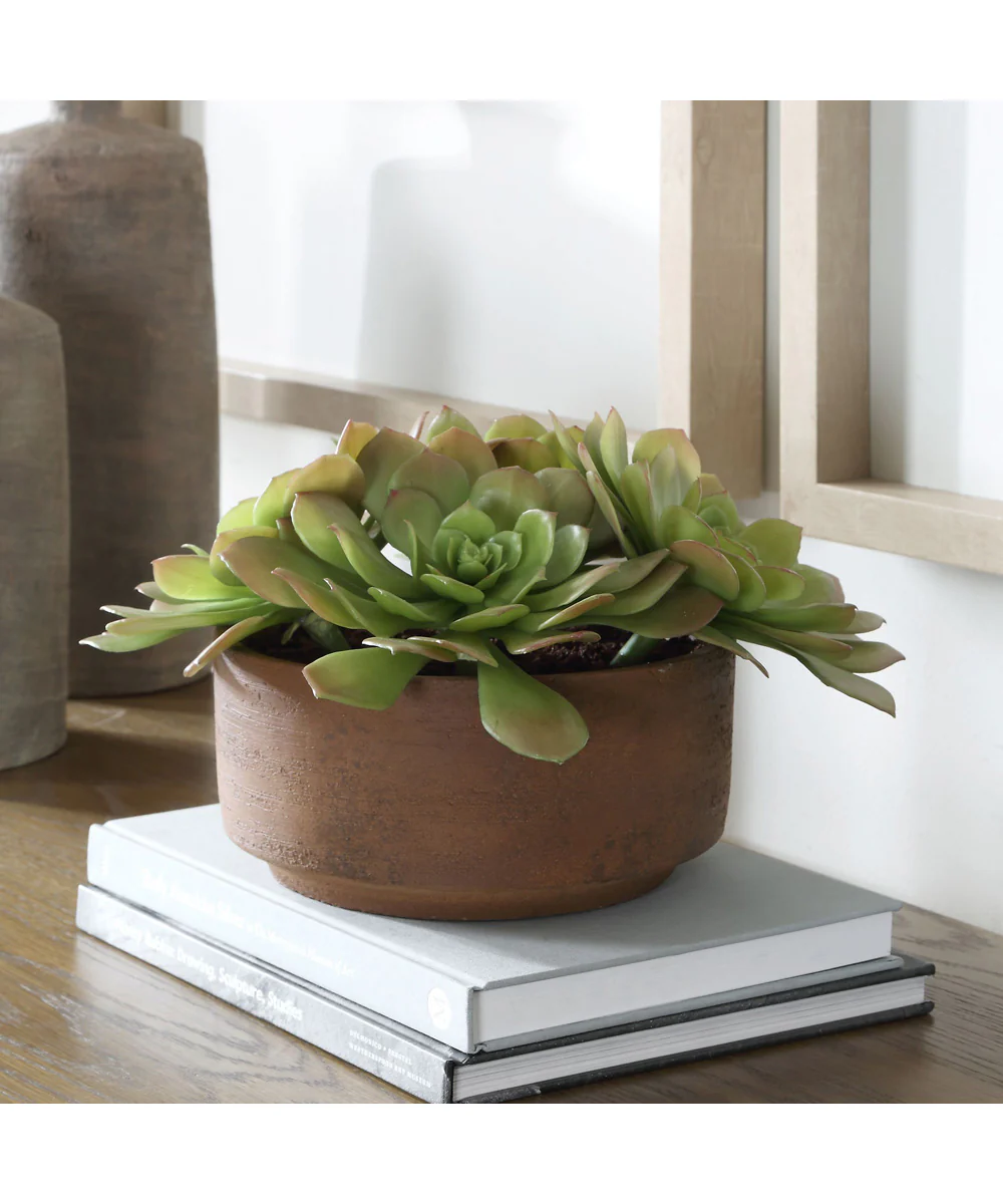 Sable Succulent Accent In Pot - Image 2