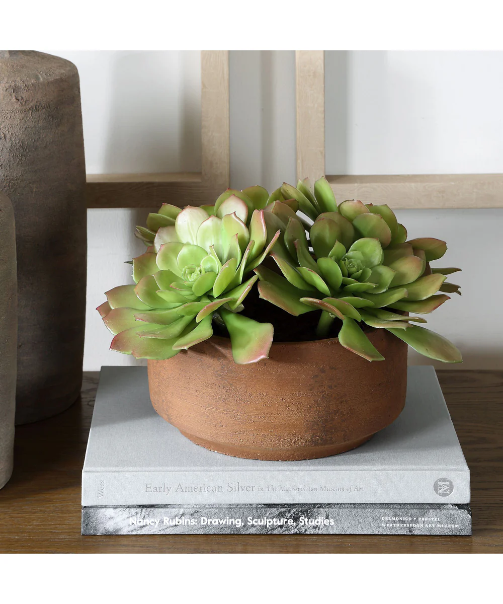 Sable Succulent Accent In Pot - Image 3