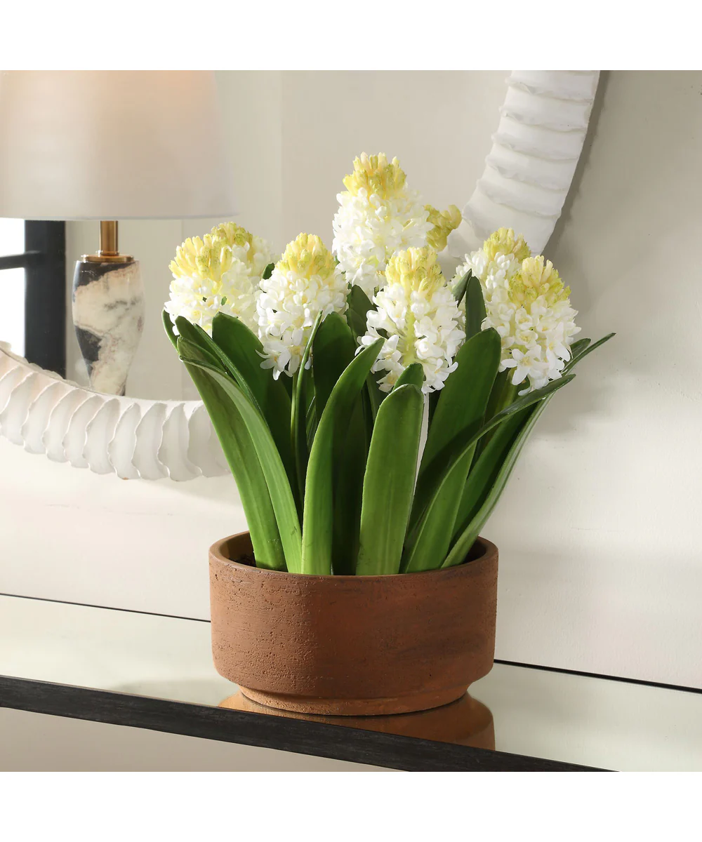 Sincerity Potted Hyacinth Plant - Image 2