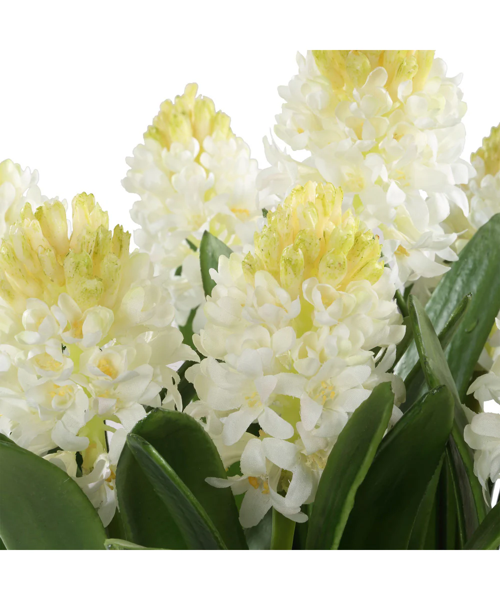 Sincerity Potted Hyacinth Plant - Image 3