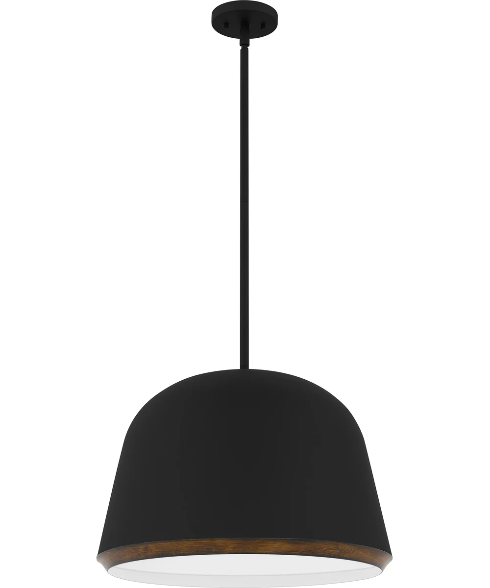 Tamara 4-light Pendant Matte Black - Image 2