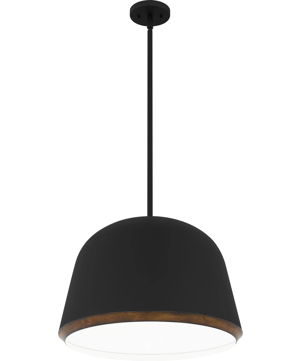 Tamara 4-light Pendant Matte Black - Image 4