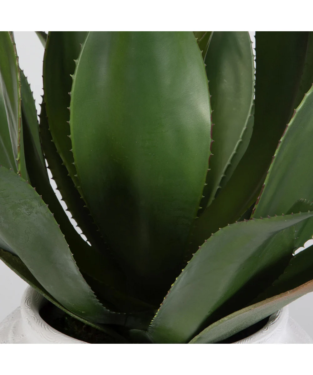 Tierra Agave Centerpiece With Vase - Image 2