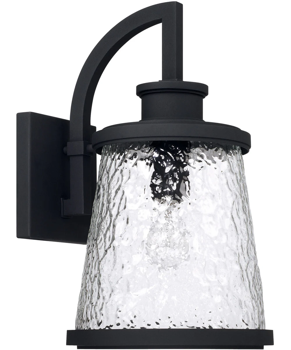 Tory 1-Light Outdoor Wall Mount Rain or Shine - Black with Clear Organic Glass