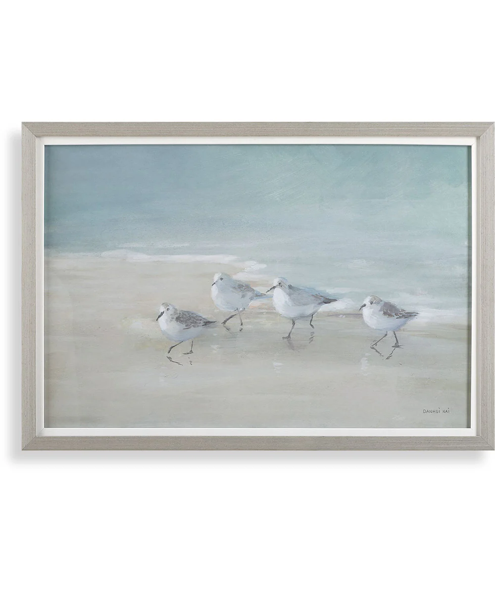 Tranquil Shorebirds On The Sand Framed Print