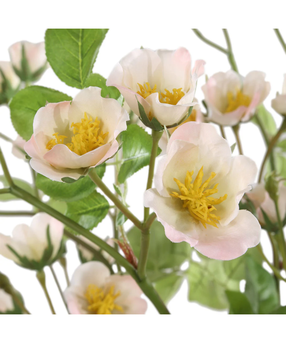 Tranquility Lenten Rose Bouquets Set of 2 - Image 3