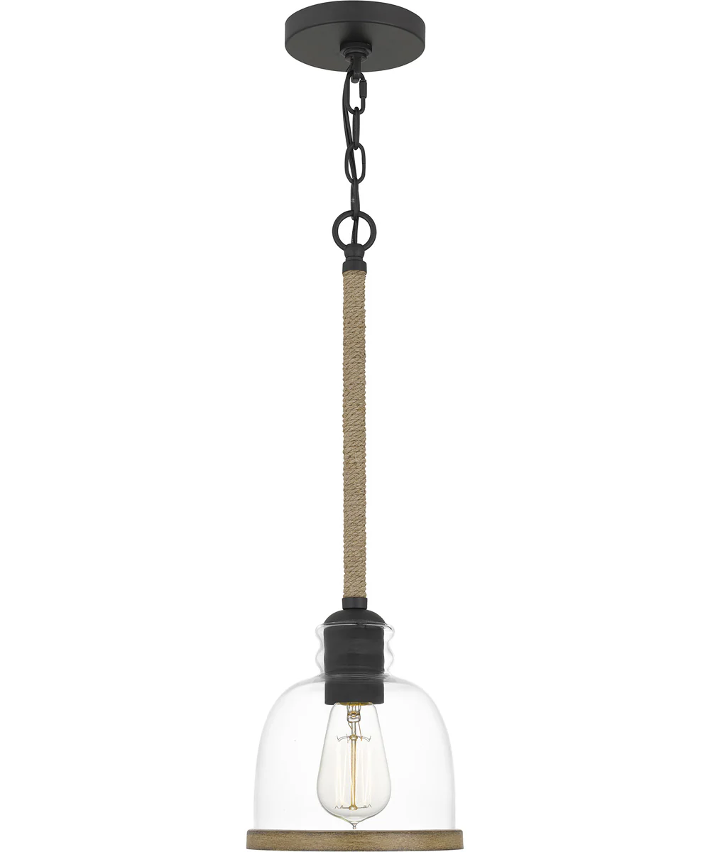 Wagner Small 1-light Mini Pendant Matte Black