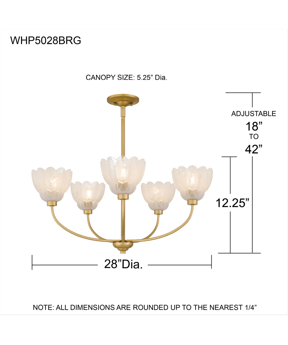 Whitecap 5-light Chandelier Brushed Gold - Image 4