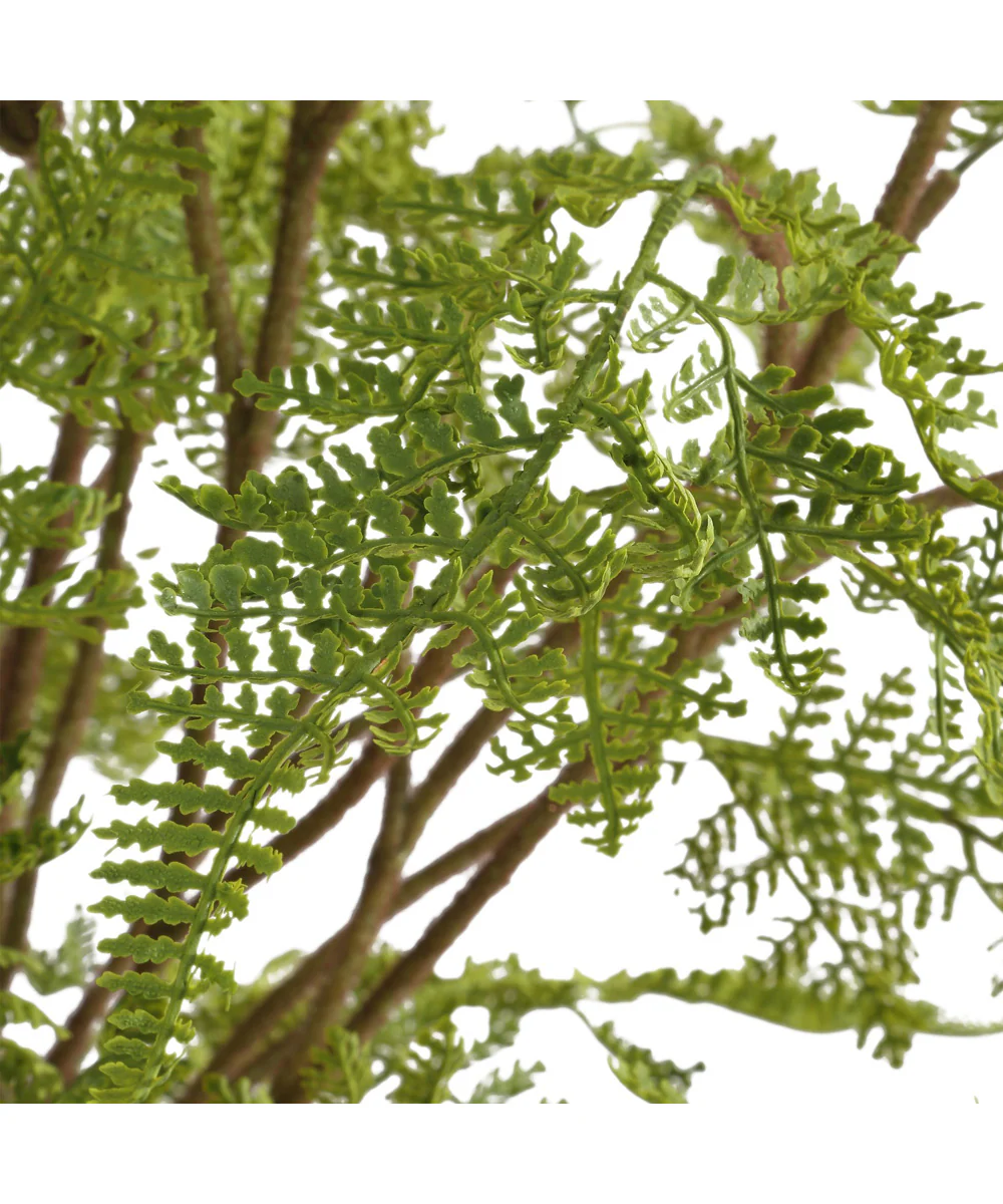 Woodland Fern Centerpiece - Image 3
