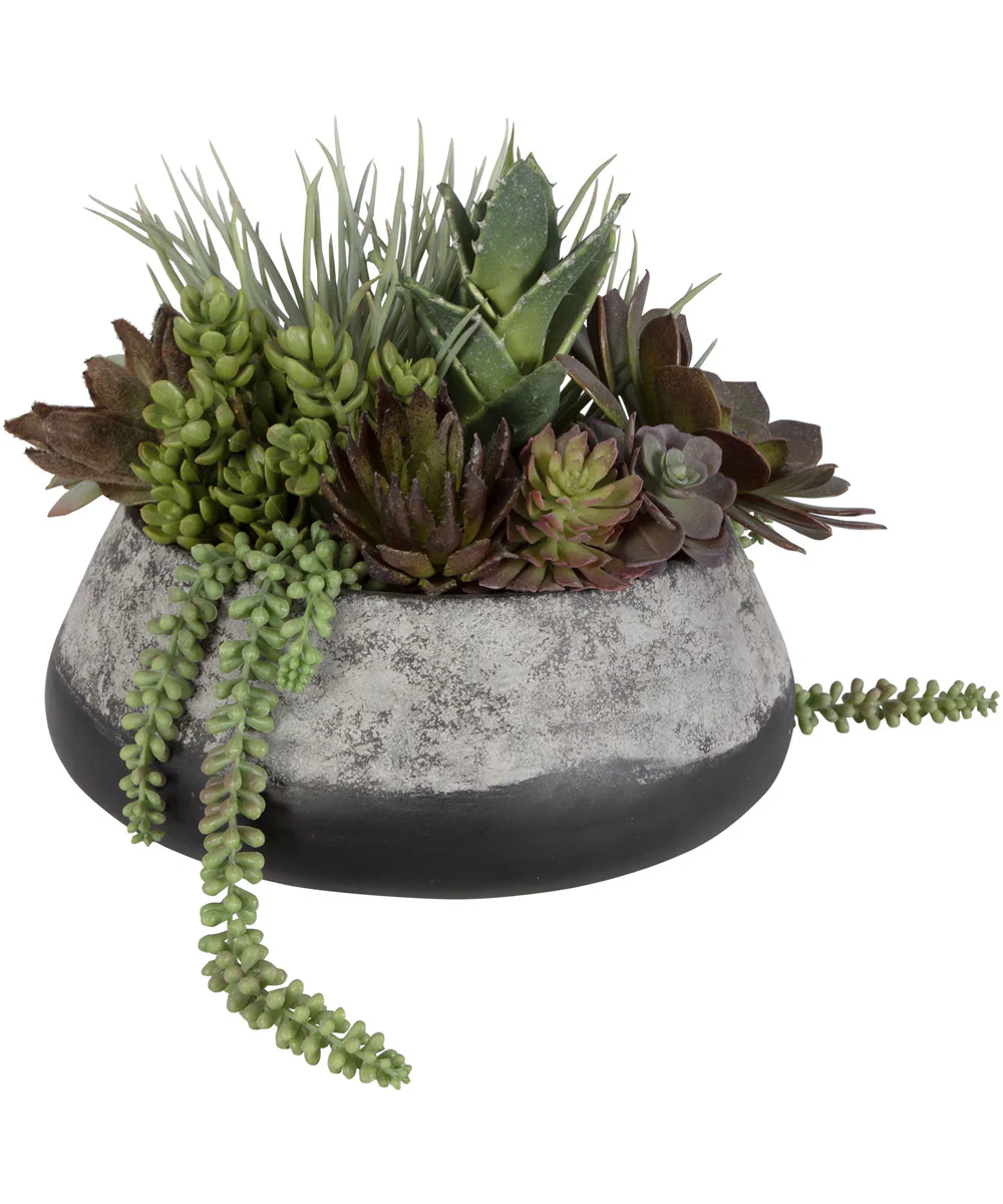 Yuma Succulent Centerpiece - Image 3