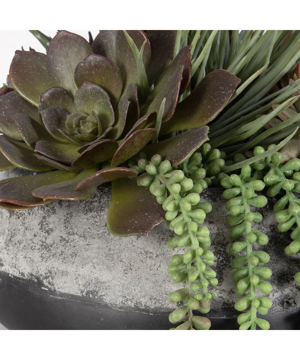 Yuma Succulent Centerpiece - Image 5